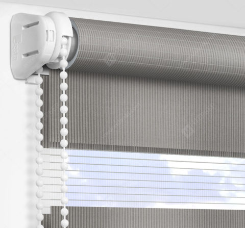 Рулонные шторы День-Ночь - Делия темно-серый